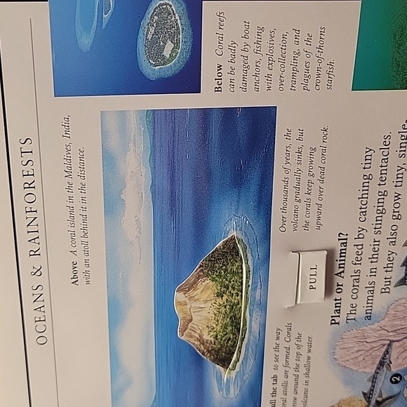 Set of Discovery Plus Children's Books - Picture 6 of 16